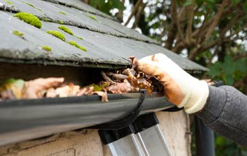 gutter cleaning Northway